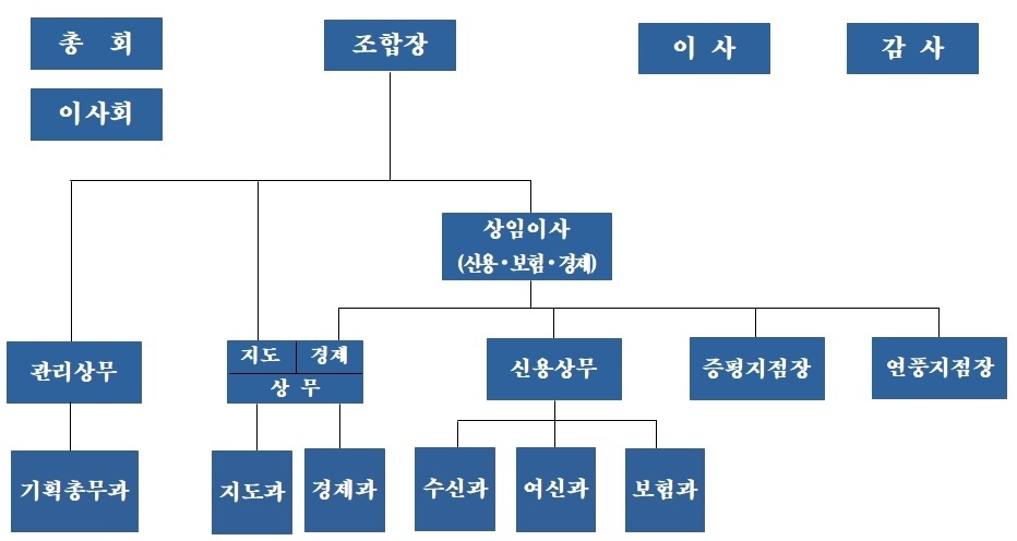조직도